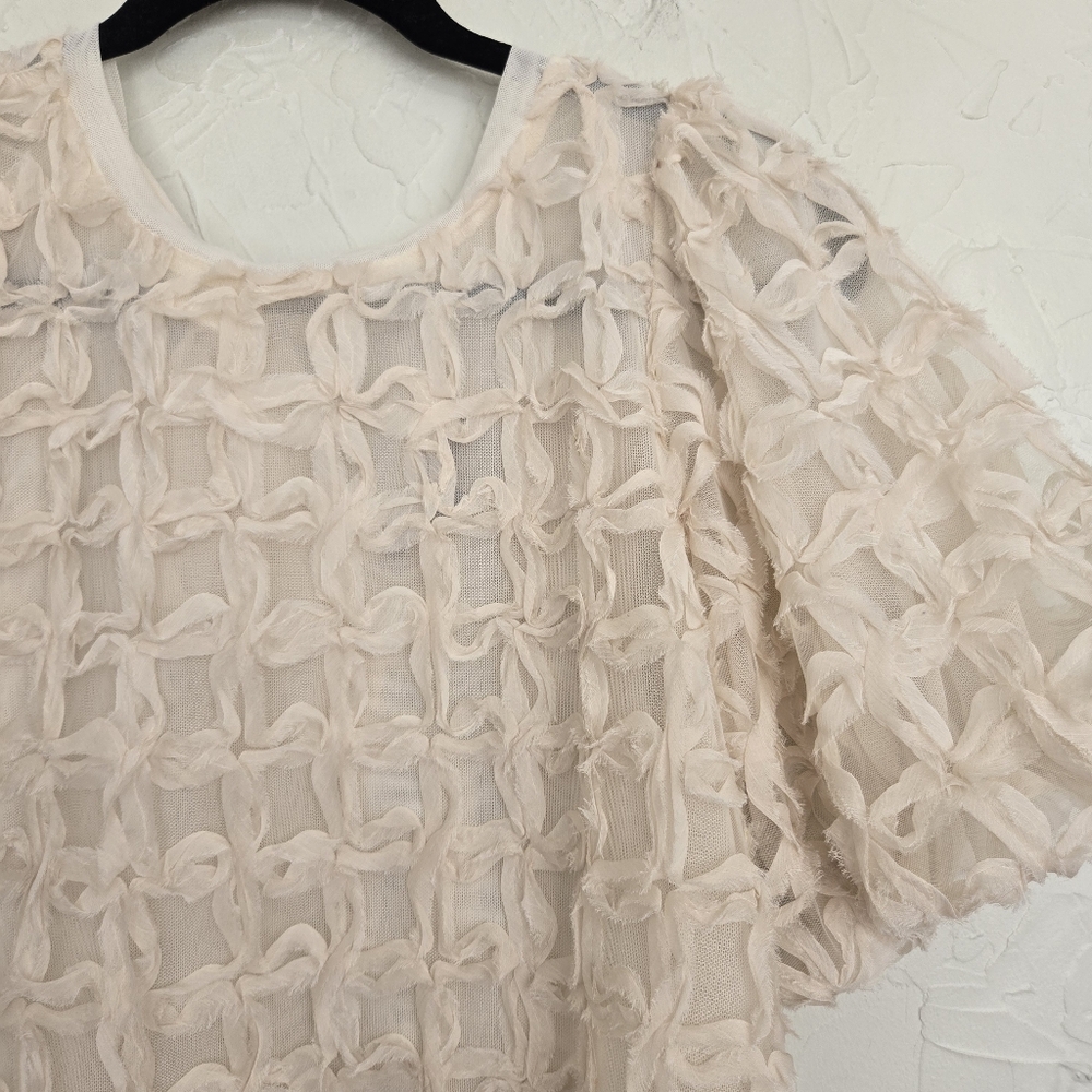Anthro Sarah Hann Cream Tulle Karla Textured Puff Sleeve Top, S - Picture 6 of 12